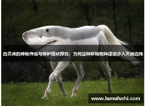 白灵虎的神秘传说与保护现状探究：为何这种珍稀物种逐渐步入灭绝边缘