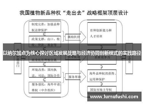 以纳尔加点为核心探讨区域发展战略与经济协同创新模式的实践路径